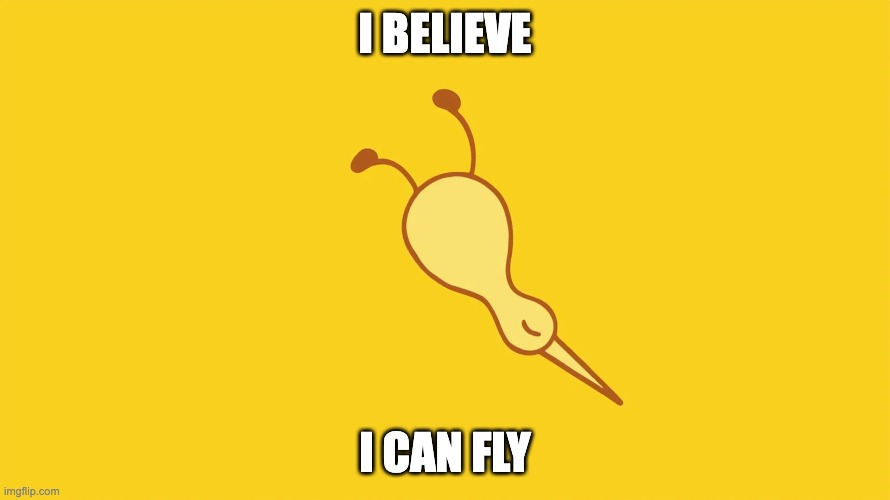 Kiwi meme: ONE MORE.